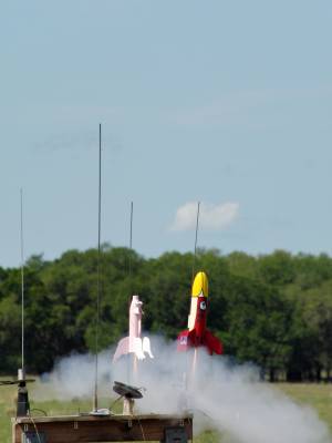 Pigasus vs. Angry Bird Drag Race