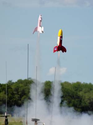 Pigasus vs. Angry Bird Drag Race