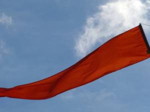 Wind Flag